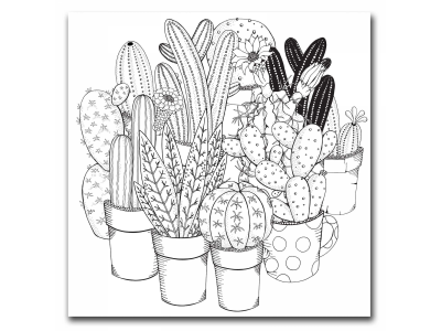 Varios cactus