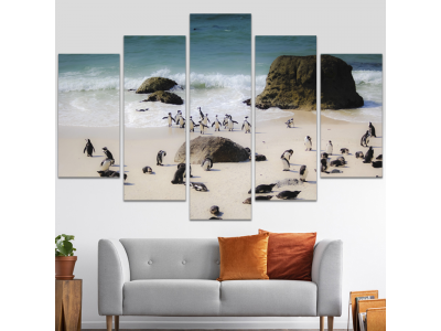 Pinguinos en la costa poliptico