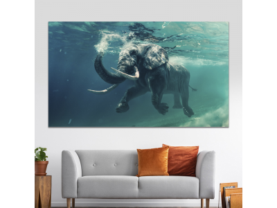Elefante en el agua
