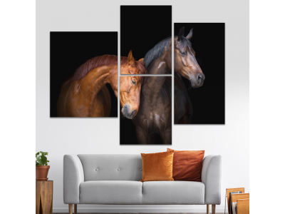 Caballos fondo negro