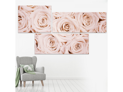 Capullos de rosas