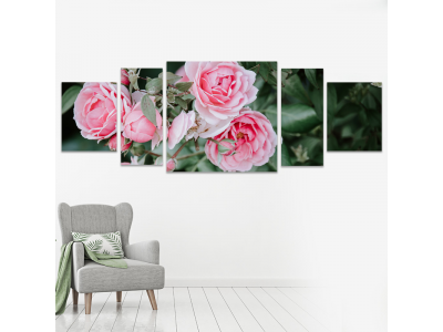 Rosas