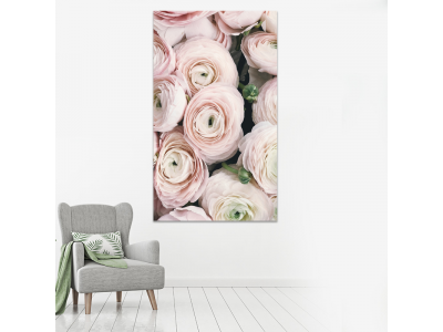Capullitos de rosas