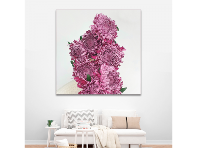 Hortensias en color