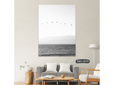 Gaviotas
