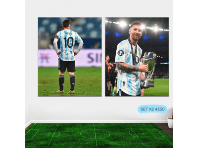 Messi 13