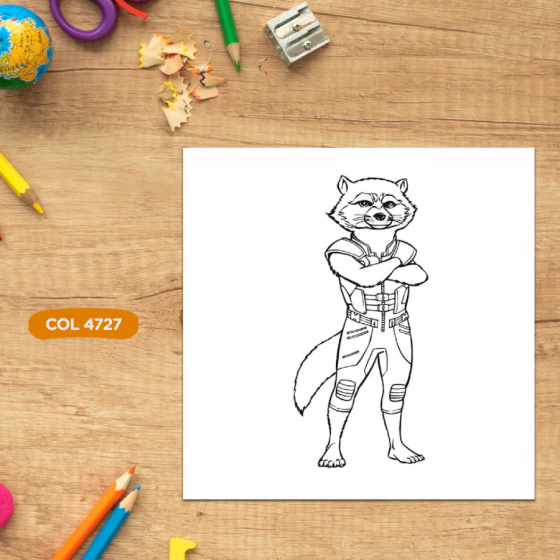 ROCKET RACCON