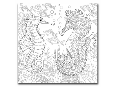 Caballitos de mar