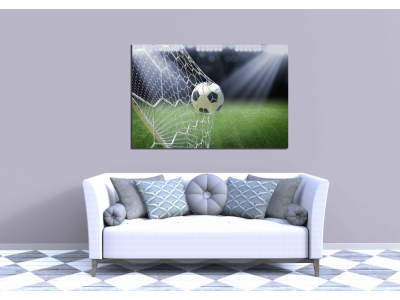 Pelota en gol