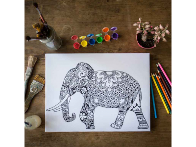 Elefante