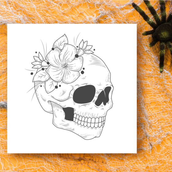 Calavera Magnolia