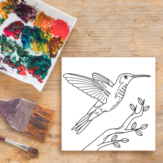 Colibri