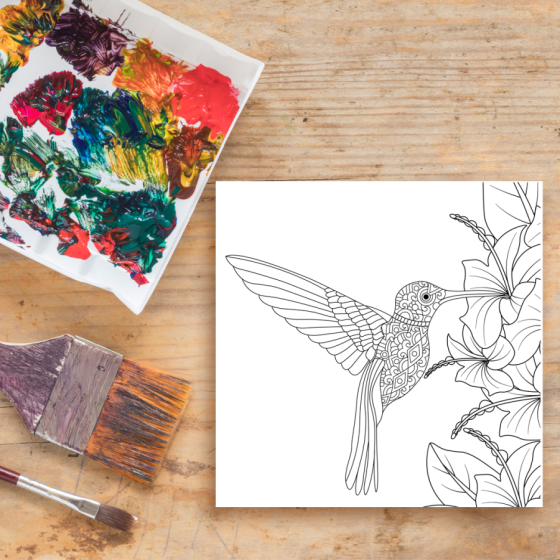 Colibri bebiendo