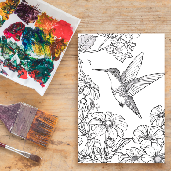 Colibri en flor