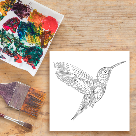 Colibri 1