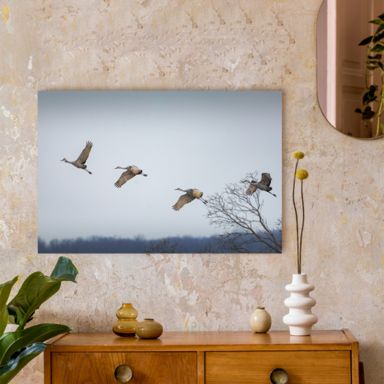 Vuelo