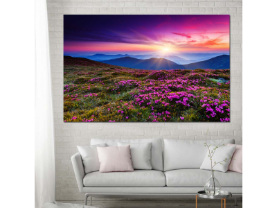 El sol en el cielo violeta