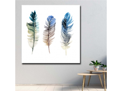 Plumas x 3