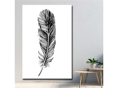 Pluma negra