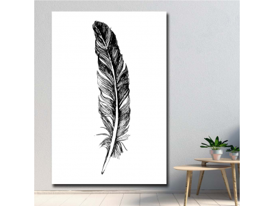 Pluma negra (2)