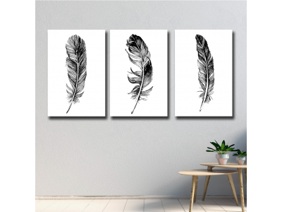Set de plumas