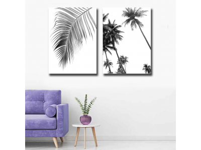 Set palmeras