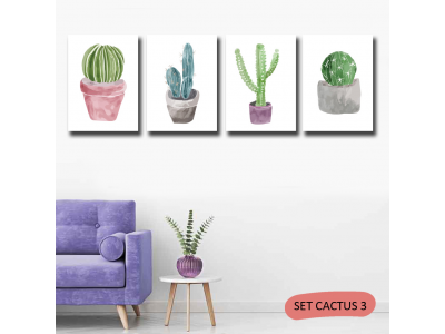 Set de cactus pintados