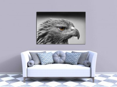 Aguila gris