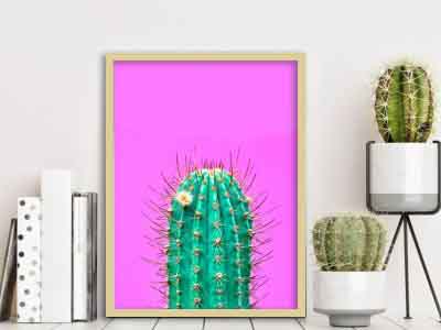 Cuadro con marco cactus fondo fucsia